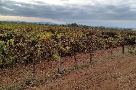 Venta Terrenos en Felanitx Mallorca