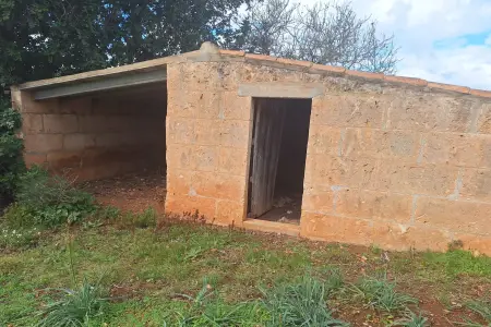 Venta Terrenos en Son Carrio Mallorca