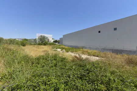 Venta Terrenos en Arta Mallorca