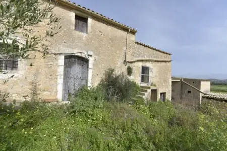 Fincas en Manacor Riera Taylor