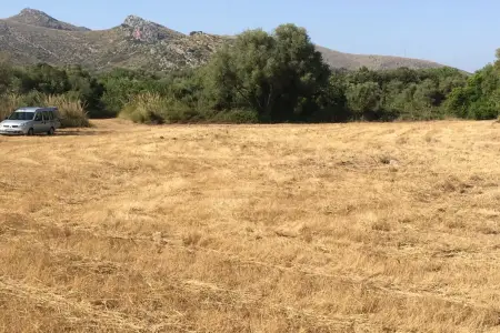 Venta Terrenos en Capdepera Mallorca