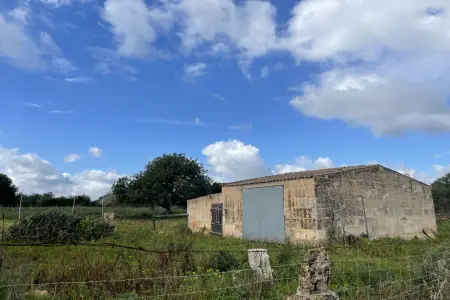 Venta Fincas en Sillot Mallorca