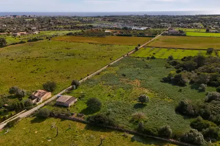 Venta Fincas en Sillot Mallorca