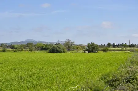 Venta Terrenos en Manacor Mallorca