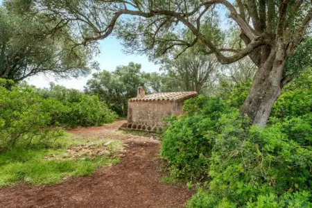 Venta Terrenos en Felanitx Mallorca