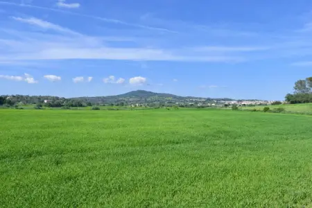 Venta Terrenos en Vilafranca de Bonany Mallorca