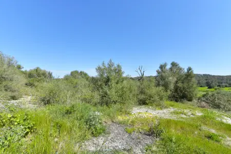 Venta Terrenos en San Juan Mallorca