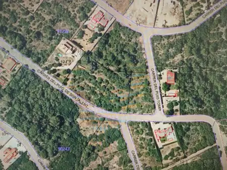 Solar urbano en Manacor Riera Taylor