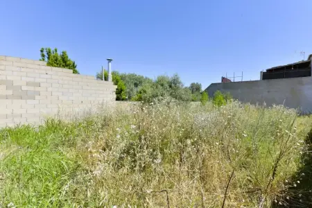 Solar urbano en Manacor Riera Taylor