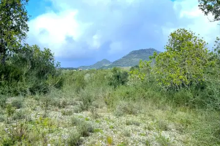 Venta Terrenos en San Lorenzo Mallorca