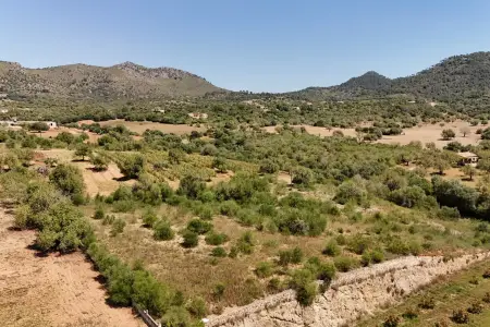 Venta Terrenos en San Lorenzo Mallorca
