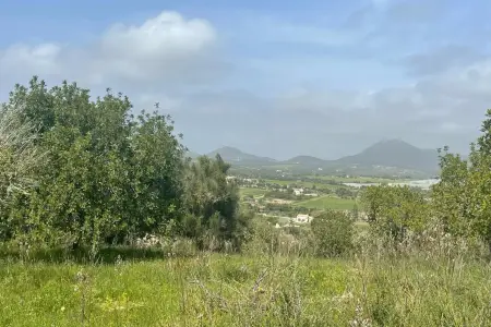 Venta Terrenos en Manacor Mallorca