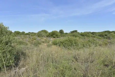 Venta Solar urbano en Portocolom Mallorca