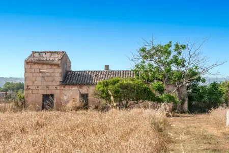 Venta Fincas en Manacor Mallorca