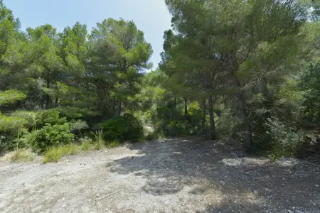 Venta Solar urbano en Canyamel Mallorca