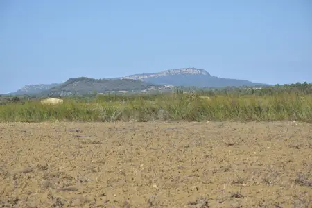 Venta Terrenos en Felanitx Mallorca
