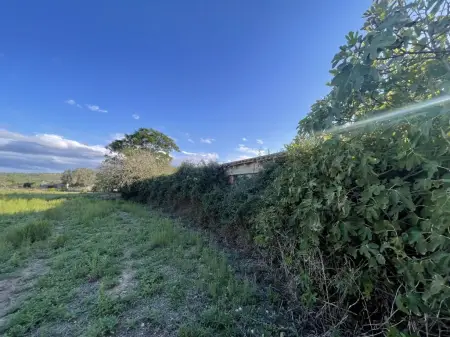 Fincas en Manacor Riera Taylor