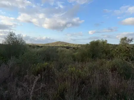 Terrenos en Son Carrio Riera Taylor