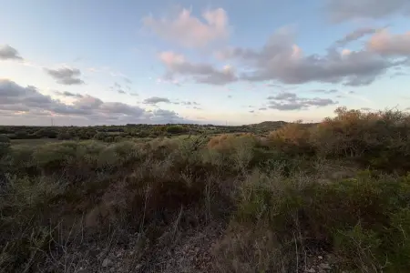 Venta Terrenos en Son Carrio Mallorca