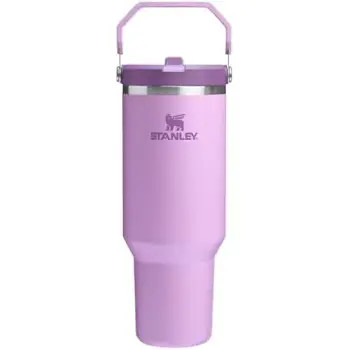 Stanley IceFlow 2.0 - Vaso con pajilla abatible con asa, tapa giratoria y popote abatible, botella de agua resistente a fugas, acero inoxidable aislado, sin BPA, lila