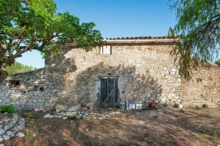 Venta finca rústica en Manacor