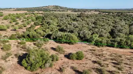  Terreno edificable en San Llorenç des Cardassar