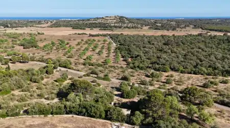 Terreno con licencia en venta en Sant Llorenç des cardassar