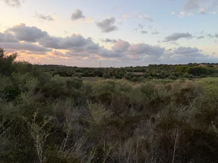 Venta terreno en Son Carrio