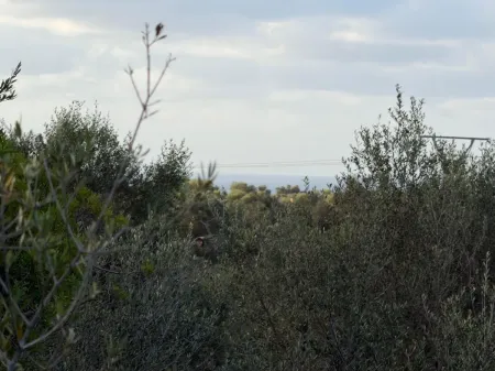 Terreno edificable en Son Carrio con vistas al mar