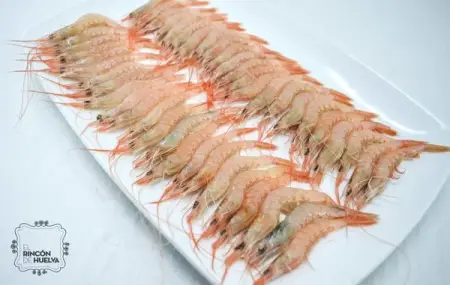 Gamba Blanca de Huelva Arrocera G6 (60-70 PZAS/500G)