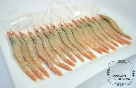 Gamba Blanca de Huelva Gorda G3 (35-40 PZAS/500G)