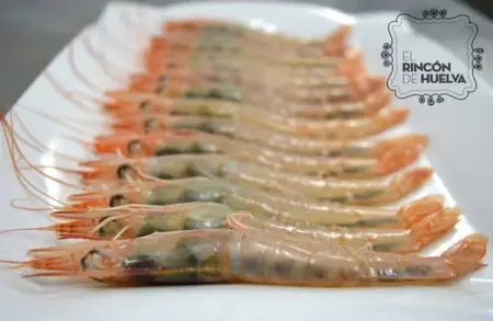 Gamba Blanca de Huelva Tronco G1 (25-30 PZAS/500G)