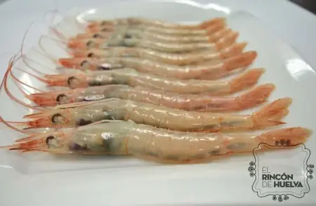 Gamba Blanca de Huelva Especial G0 (20-25 PZAS/500G)