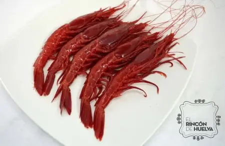 Carabinero o Brillante Gordo B3 (8-12 PZAS/500G)