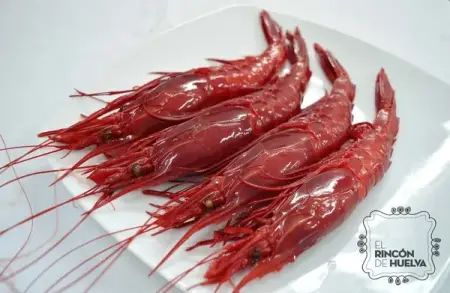 Carabinero o Brillante Extra B2 (6-8 PZAS/500G)