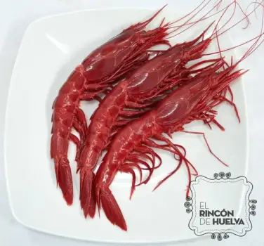 Carabinero o Brillante Tronco B1 (5-6 PZAS/500G)