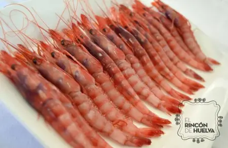 Alistado Pequeño A4 (30-50 PZAS/500G)