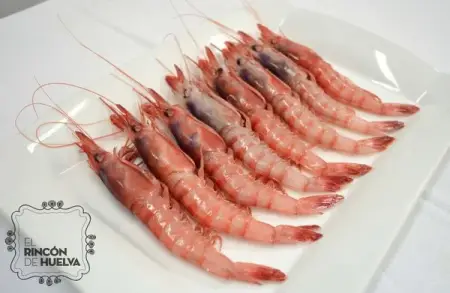 Alistado Tronco A1 (12-18 PZAS/500G)