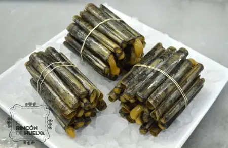 Longuerón o muergo (Solen marginatus) 500 Gr.