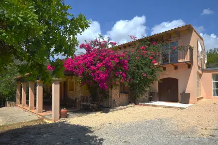 Venta Fincas en Manacor Mallorca