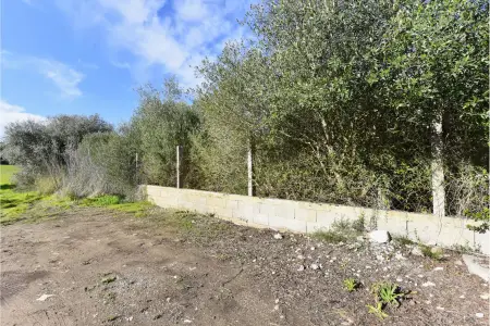 Venta Terrenos en San Lorenzo Mallorca