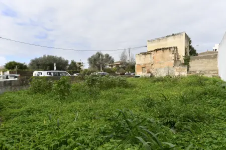 Venta Solar urbano en Manacor Mallorca