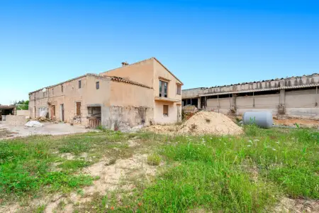 Venta Fincas en Manacor Mallorca