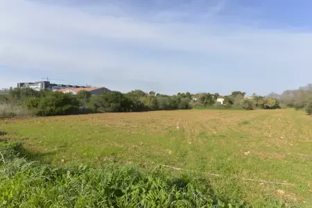 Venta Solar urbano en Manacor Mallorca