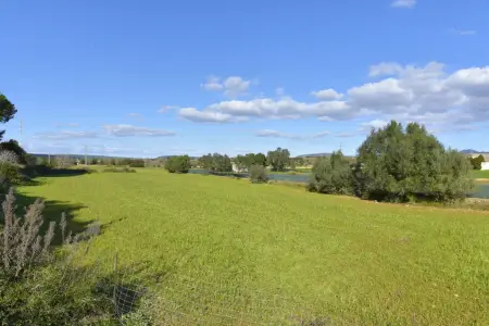 Venta Terrenos en Manacor Mallorca