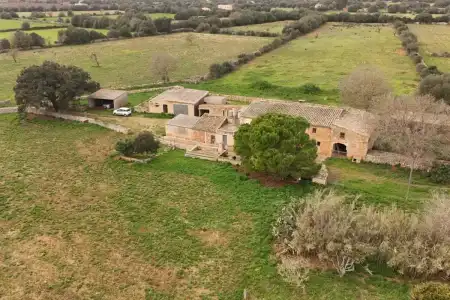 Venta Fincas en Felanitx Mallorca