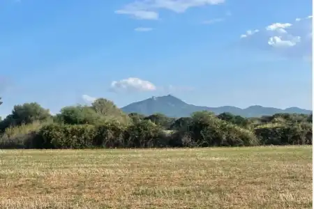 Venta Terrenos en Felanitx Mallorca