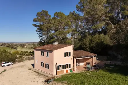 Venta Fincas en Llubi Mallorca