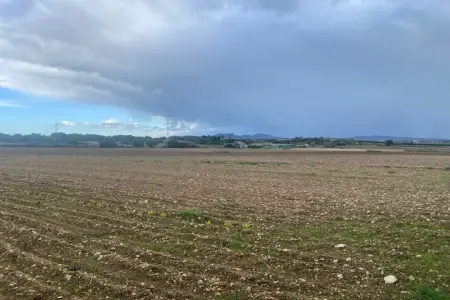 Venta Terrenos en Manacor Mallorca