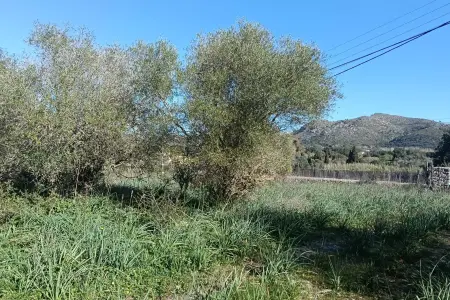 Venta Terrenos en Arta Mallorca